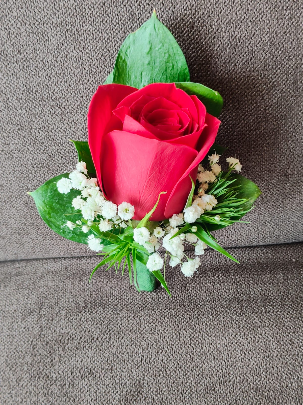 🌹Novio